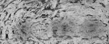 Video 2