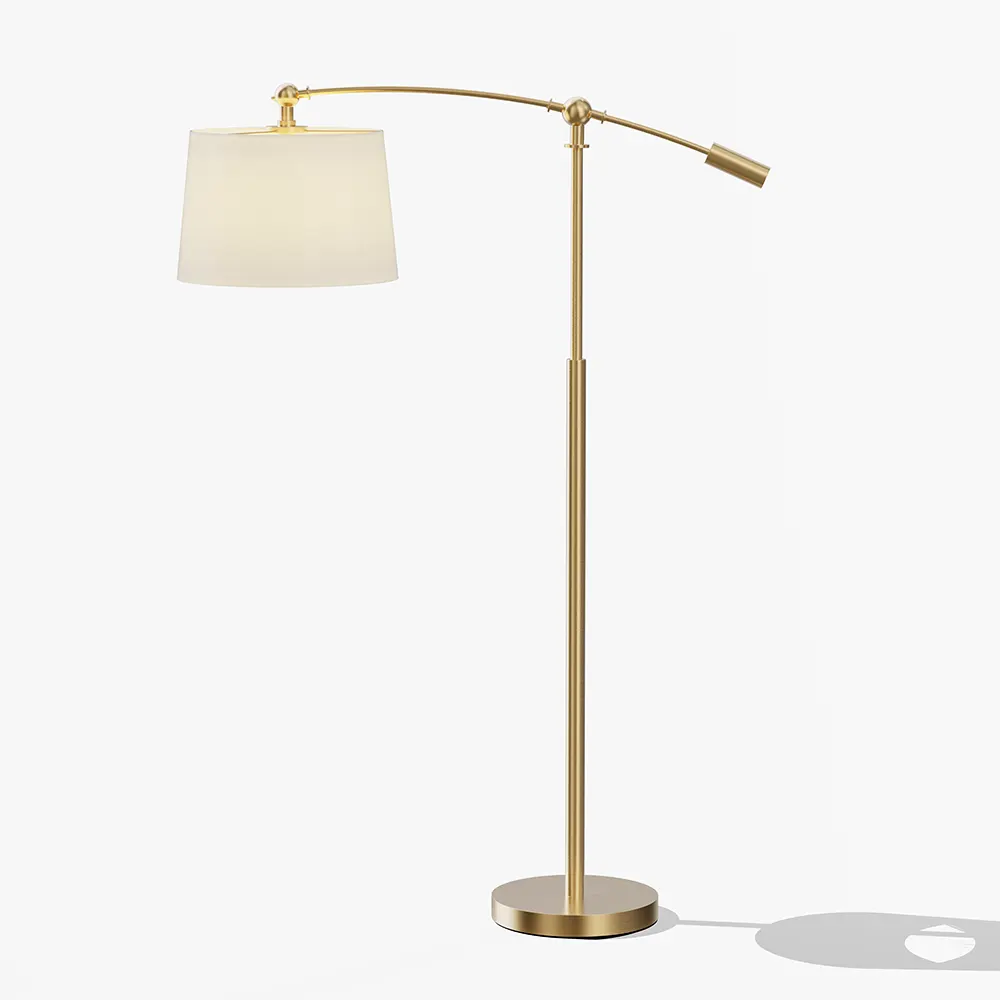 Adjustable Swing Arm Floor Lamp