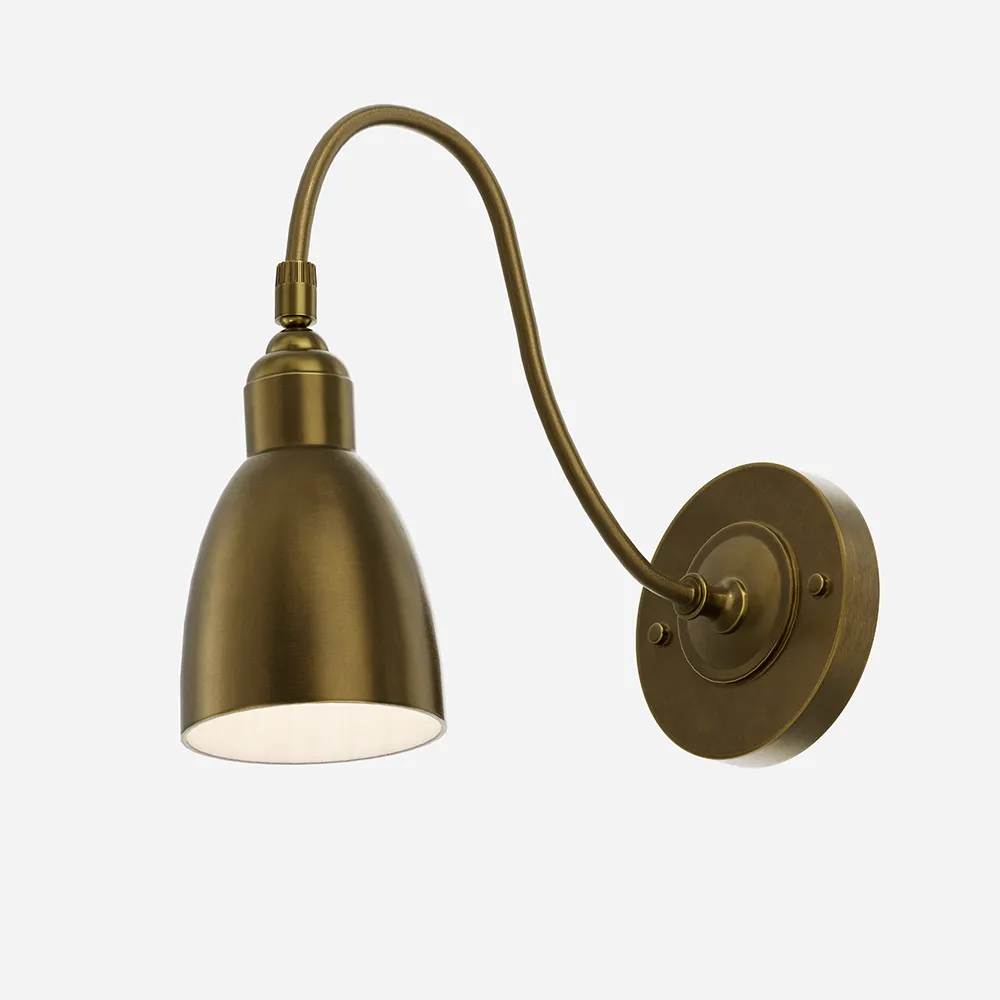 Swan Neck Brass Wall Light