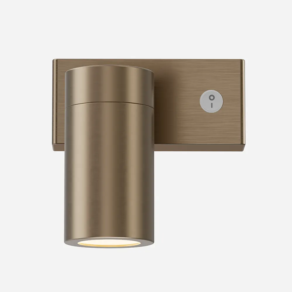 Foggy Brushed Brass Plug In Wall Sconce