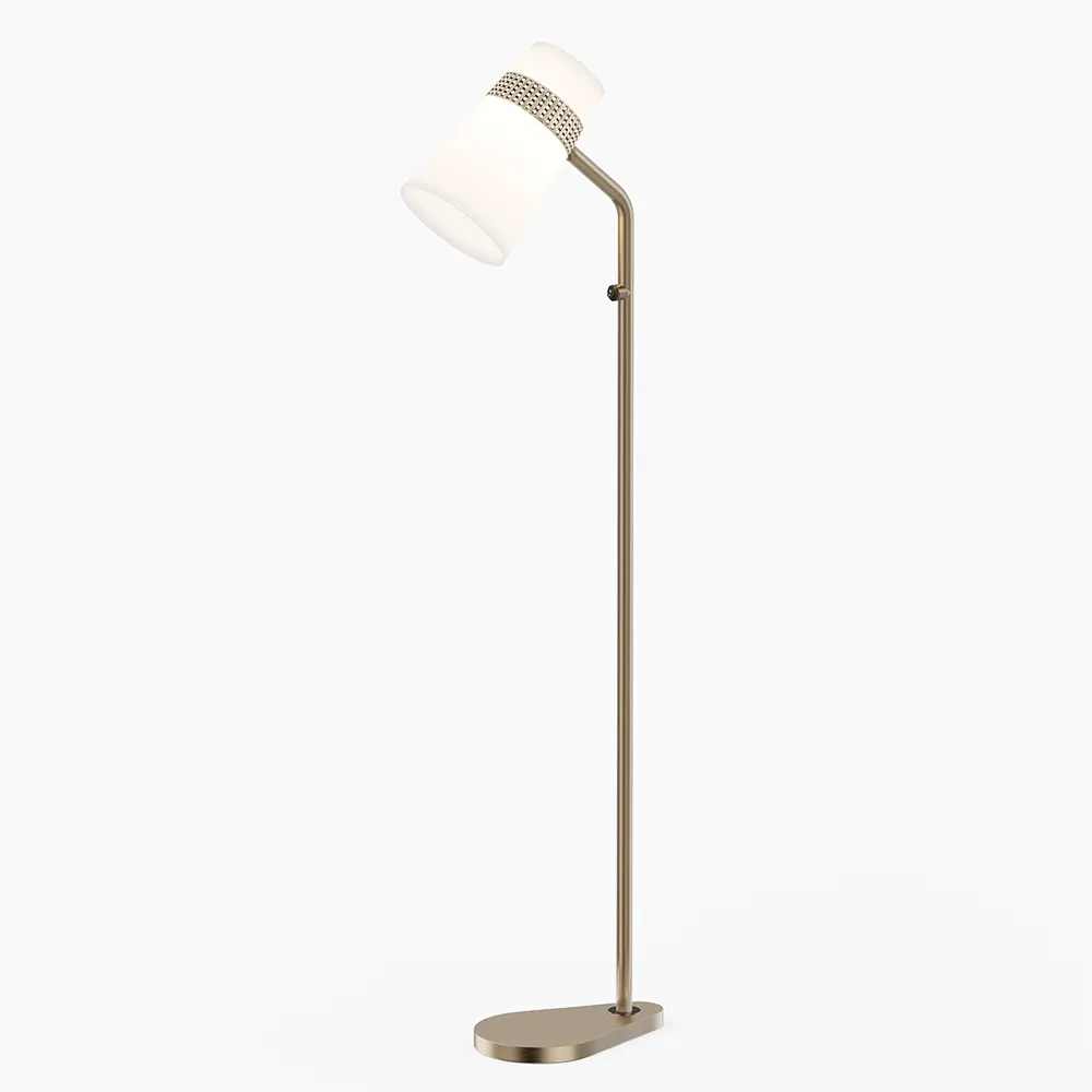 Floor Lamps