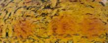 Video 3