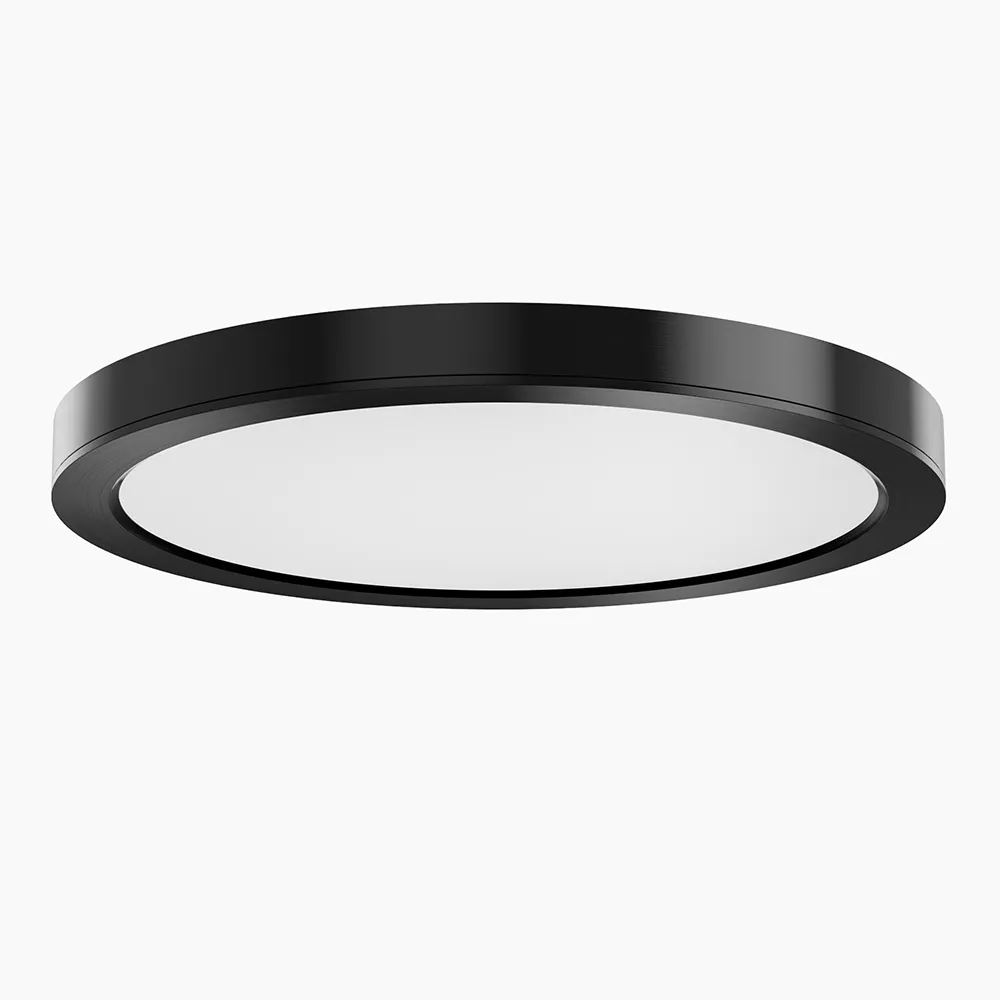 Led Flush Mount Ceiling Light
