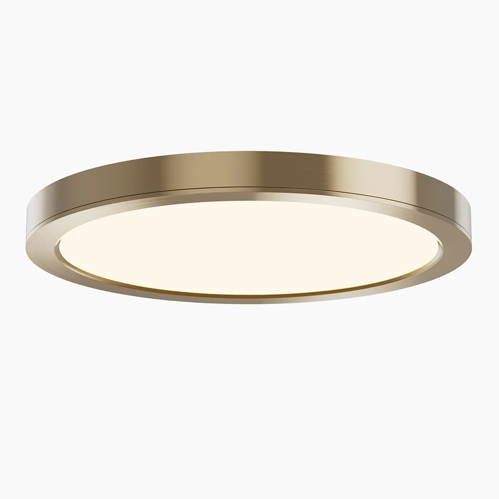 Led Flush Mount Ceiling Light