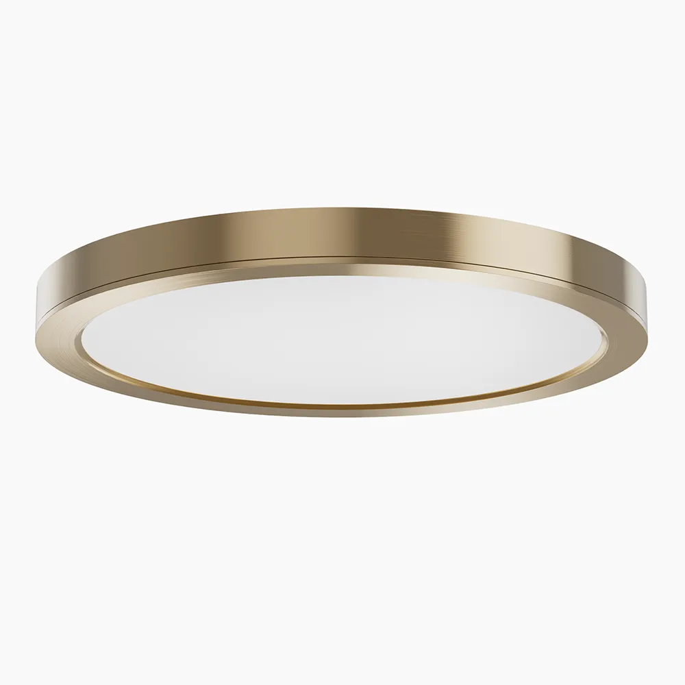 Led Flush Mount Ceiling Light