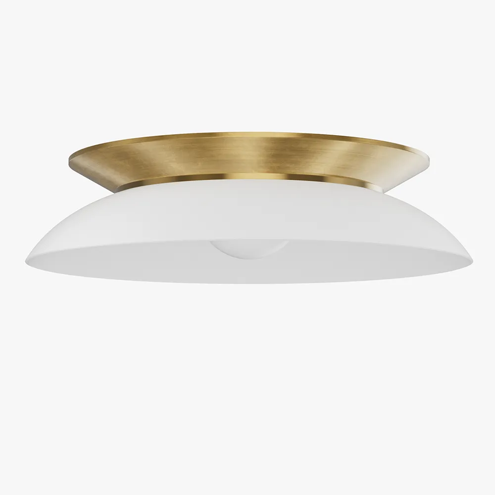 Low Profile Ceiling Light