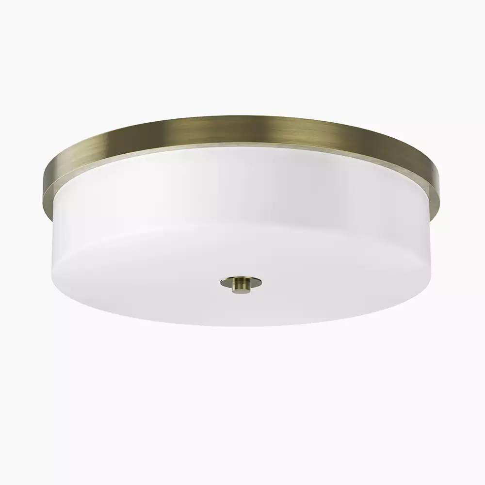 Brushed Nickel & Frosted White Ceiling Light