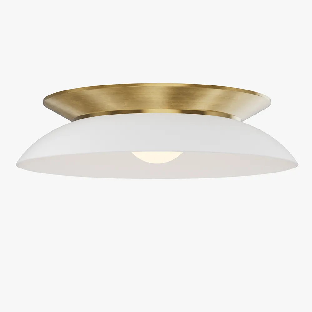 Low Profile Ceiling Light
