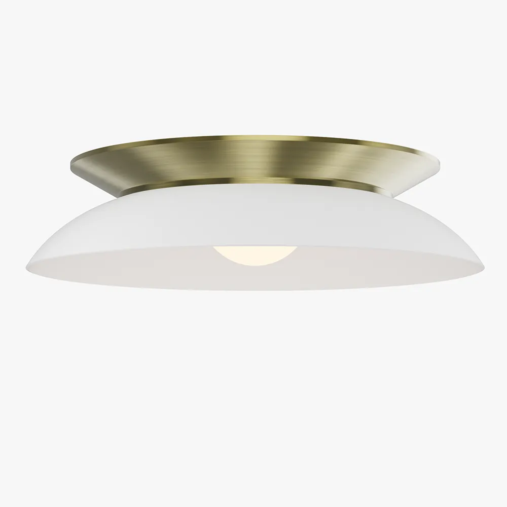 Low Profile Ceiling Light