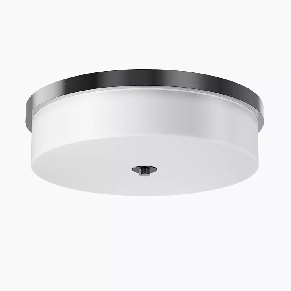 Brushed Nickel & Frosted White Ceiling Light