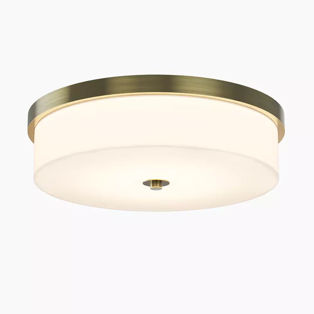Brushed Nickel & Frosted White Ceiling Light