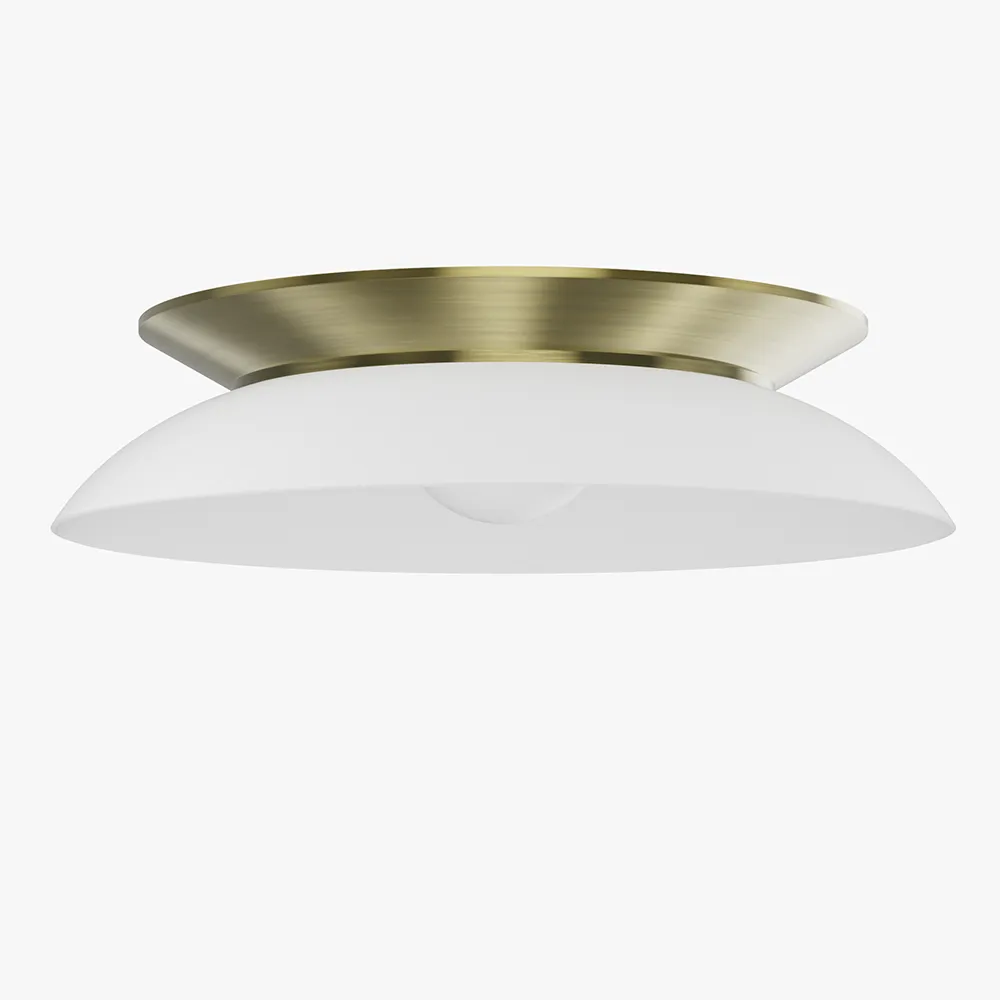 Low Profile Ceiling Light